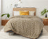 Flora Comforter with Solid Border for Single & Double Bed